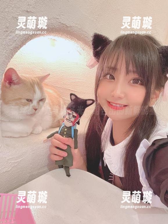 蕾丝、柳丸与无圣光，组合出的新鲜能量